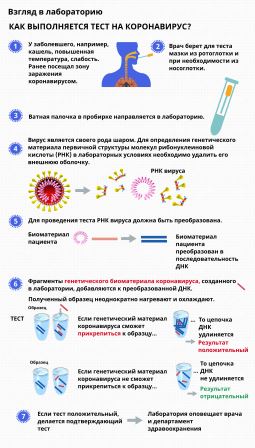 Как выполняется тест на коронaвирус