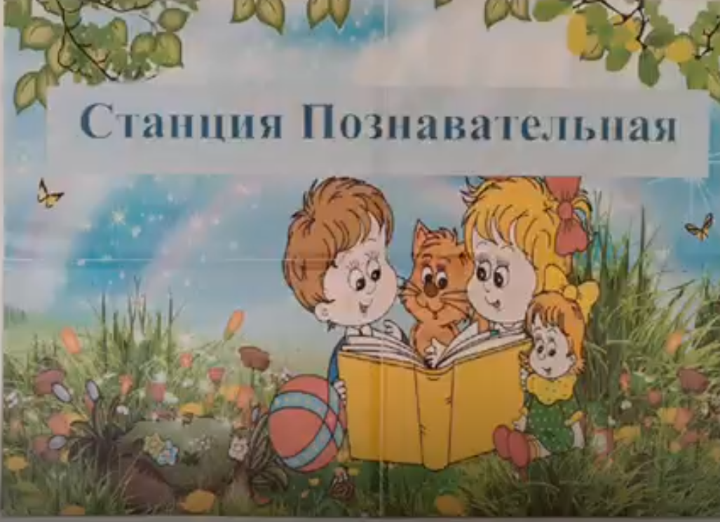 познавательная